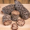 Kép 3/11 - Szárított Banksia grandis termés 400-650 g