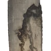 Kép 4/4 - Szélezetlen hikoridió faanyag 26 x 260-280 x 1400 mm HIK104