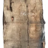 Kép 6/6 - Szélezetlen olivafa, olajfa faanyag 30 x 490-720 x 2500 mm OL103