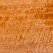 Marri / red gum