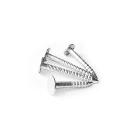 Zsindely szeg 3,1x20 mm 1 kg