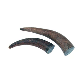Bivaly szarv rész 75-130 g