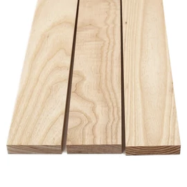 Kőris hobbi fa csomag