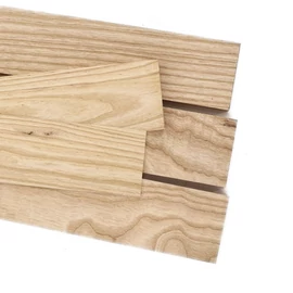 Kőris hobbi fa csomag