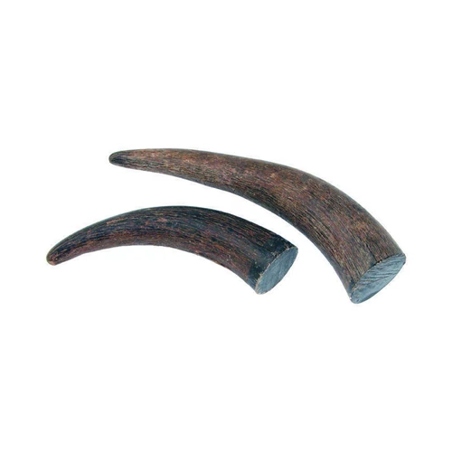 Bivaly szarv rész 75-130 g