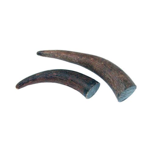 Bivaly szarv rész 75-130 g