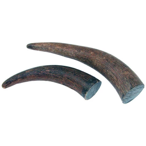 Bivaly szarv rész 131-180 g