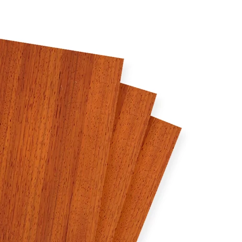 Afrikai paduk svartni